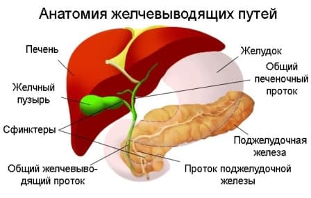 image-23-02-24-08-16_1 Дискинезия желчевыводящих путей  | Доктор МАЗИТОВА  / Онлайн-школа здоровья