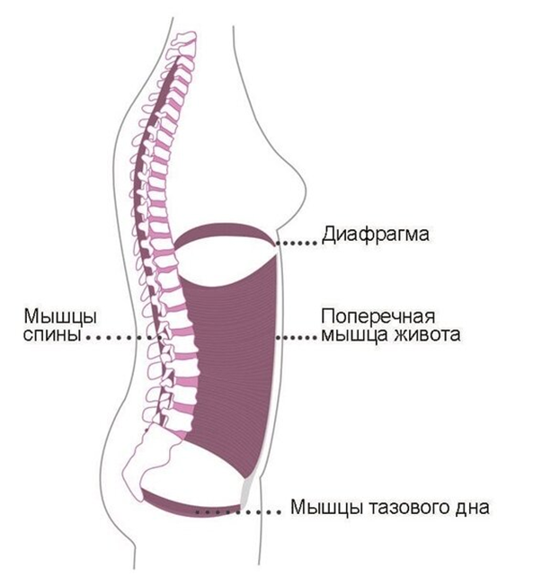 opechenie-3 Слабость тазового дна: как предотвратить дальнейшее опущение матки? | Доктор МАЗИТОВА  / Онлайн-школа здоровья